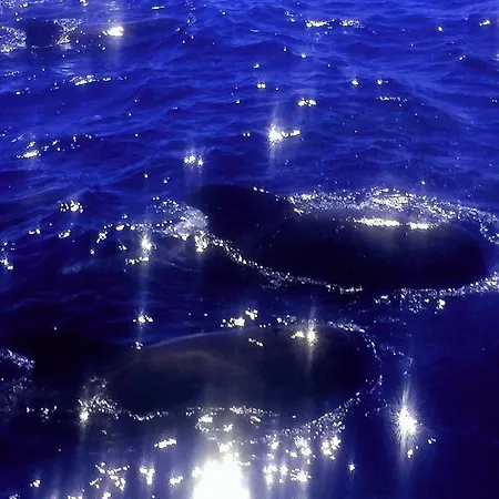 Daire Casa Penelope Costa Del Silencio